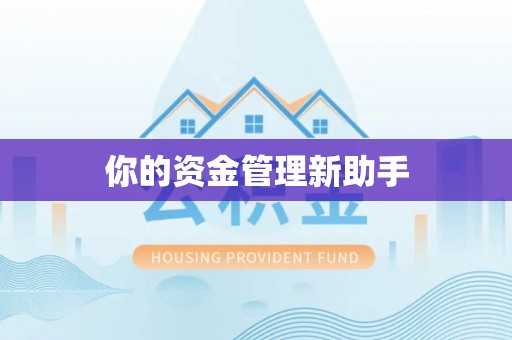 莘县你的资金管理新助手