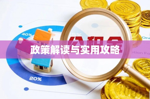 莘县政策解读与实用攻略