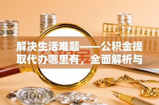 莘县解决生活难题——公积金提取代办哪里有，全面解析与服务推荐