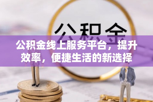 莘县公积金线上服务平台，提升效率，便捷生活的新选择