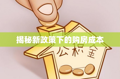 莘县揭秘新政策下的购房成本