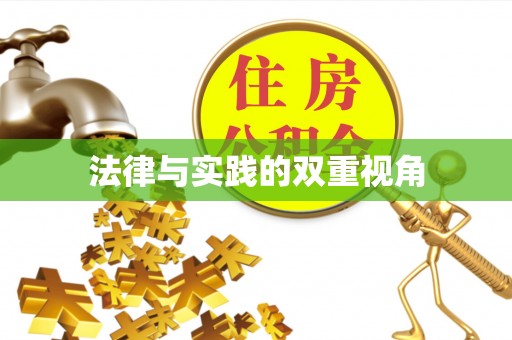莘县法律与实践的双重视角