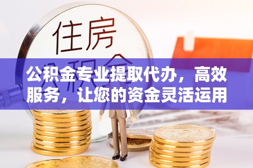 莘县公积金专业提取代办，高效服务，让您的资金灵活运用