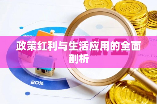 莘县政策红利与生活应用的全面剖析