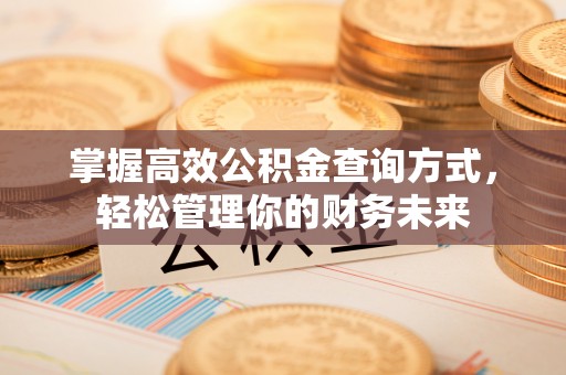 莘县掌握高效公积金查询方式，轻松管理你的财务未来