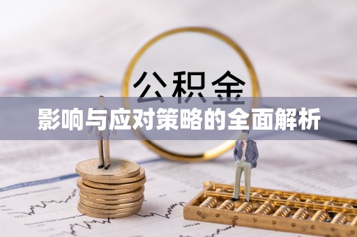 莘县影响与应对策略的全面解析