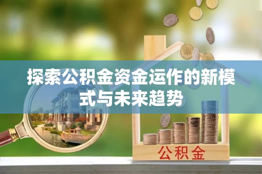 莘县探索公积金资金运作的新模式与未来趋势