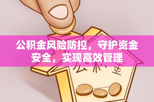 莘县公积金风险防控，守护资金安全，实现高效管理