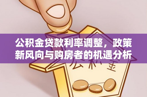 莘县公积金贷款利率调整，政策新风向与购房者的机遇分析