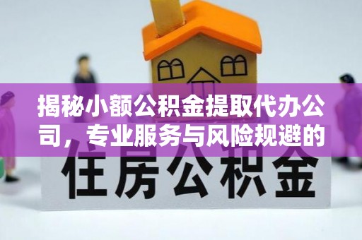 莘县揭秘小额公积金提取代办公司，专业服务与风险规避的平衡艺术