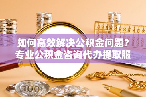 莘县如何高效解决公积金问题？专业公积金咨询代办提取服务来帮你