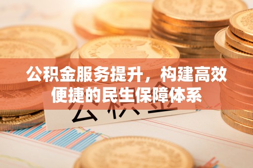 莘县公积金服务提升，构建高效便捷的民生保障体系