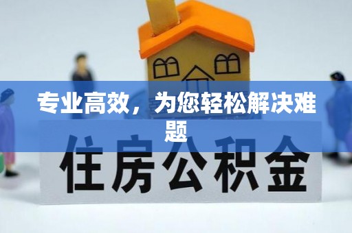 莘县专业高效，为您轻松解决难题