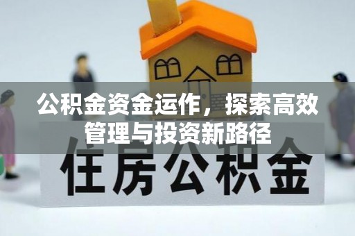 莘县公积金资金运作，探索高效管理与投资新路径