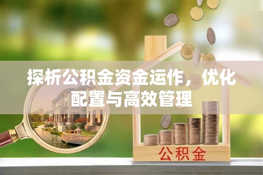 莘县探析公积金资金运作，优化配置与高效管理
