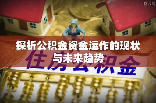 莘县探析公积金资金运作的现状与未来趋势