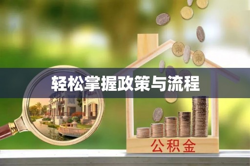 莘县轻松掌握政策与流程
