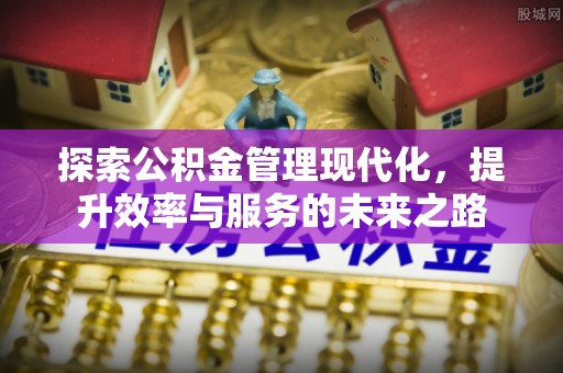 莘县探索公积金管理现代化，提升效率与服务的未来之路