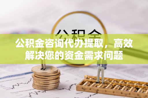 莘县公积金咨询代办提取，高效解决您的资金需求问题