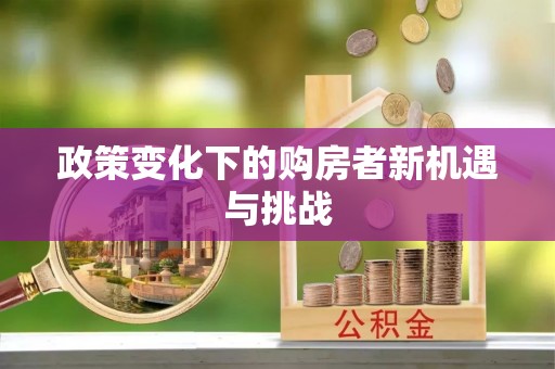 莘县政策变化下的购房者新机遇与挑战