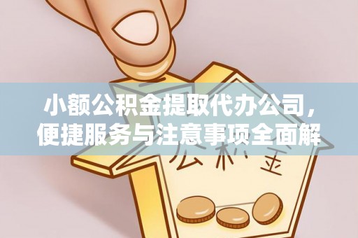 莘县小额公积金提取代办公司，便捷服务与注意事项全面解析