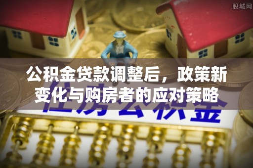 莘县公积金贷款调整后，政策新变化与购房者的应对策略