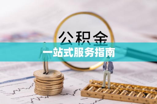 莘县一站式服务指南
