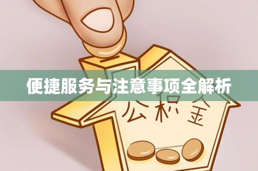 莘县便捷服务与注意事项全解析