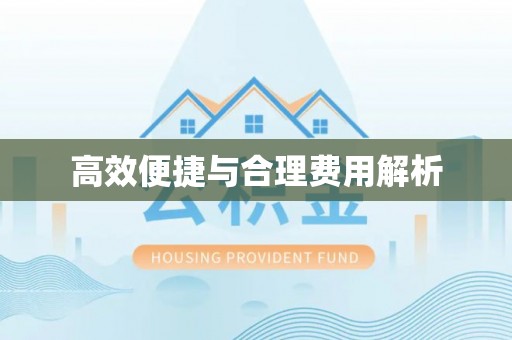 莘县高效便捷与合理费用解析