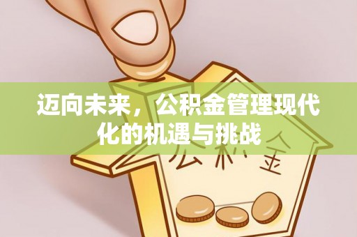 莘县迈向未来，公积金管理现代化的机遇与挑战