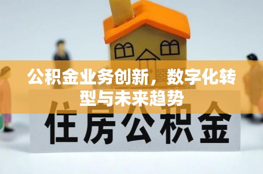 莘县公积金业务创新，数字化转型与未来趋势