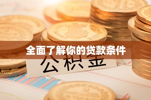 莘县全面了解你的贷款条件