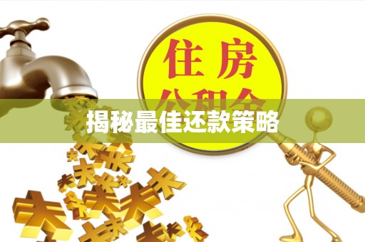莘县揭秘最佳还款策略