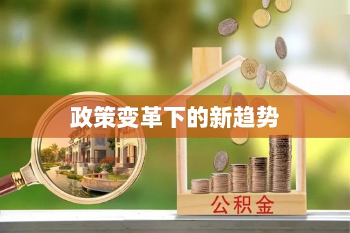 莘县政策变革下的新趋势