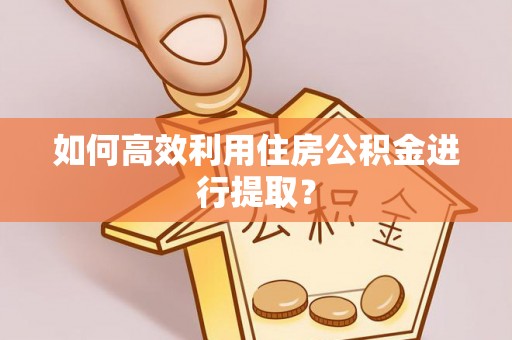莘县如何高效利用住房公积金进行提取？