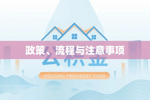 莘县政策、流程与注意事项