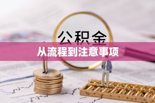 莘县从流程到注意事项