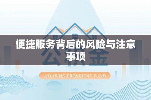 莘县便捷服务背后的风险与注意事项