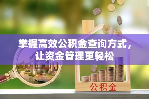 莘县掌握高效公积金查询方式，让资金管理更轻松