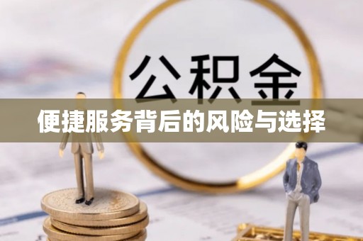 莘县便捷服务背后的风险与选择