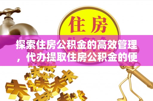 莘县探索住房公积金的高效管理，代办提取住房公积金的便利与注意事项
