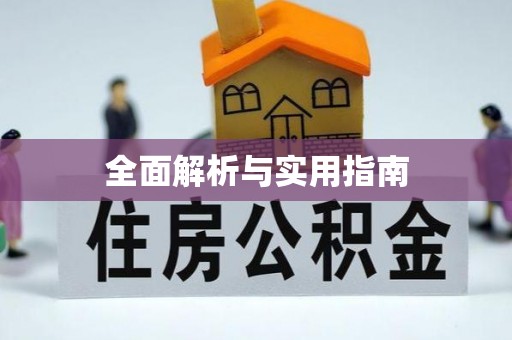 莘县全面解析与实用指南