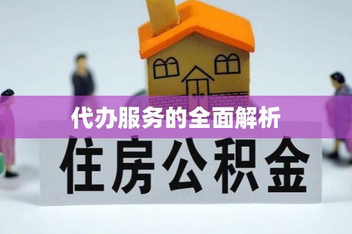 莘县代办服务的全面解析